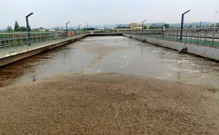 脫水離心機(jī)在沼渣汙水應用(圖1) undefined